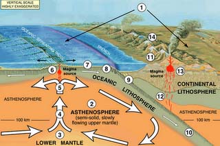 asthenosphere plate earth kids interaction tectonic science layers mantle where information surface convection currents effect