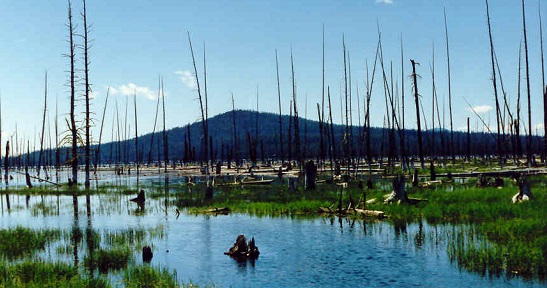 Shield volcano in the Cascade Range in the Pacific Northwest